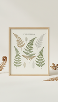 Fern Study Botanical Art Print